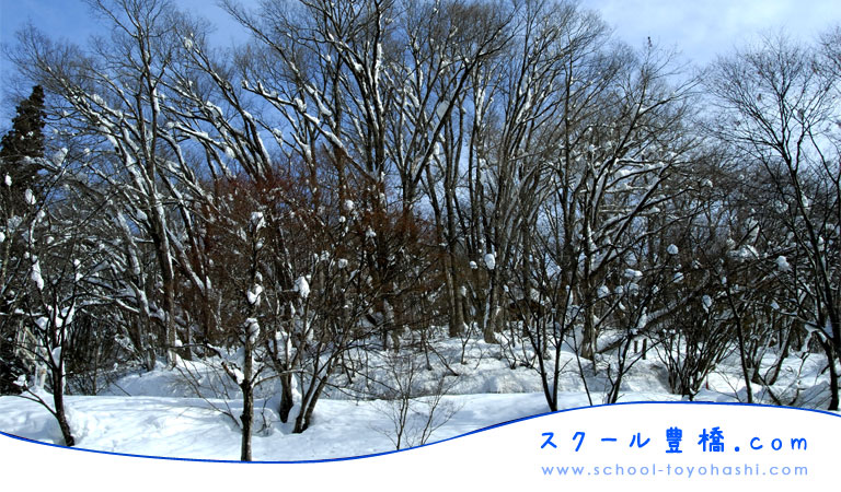 �L���L��̏K���������T�C�g�u�X�N�[���L���v