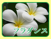 �L���E�L��̃t���_���X�����ē�